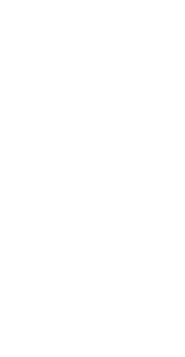 The Painted Pineapple